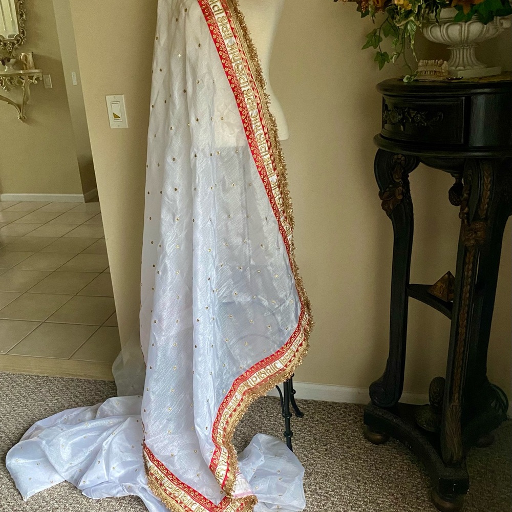 Saree sari with Hindi writing Ayushbhava wedding new